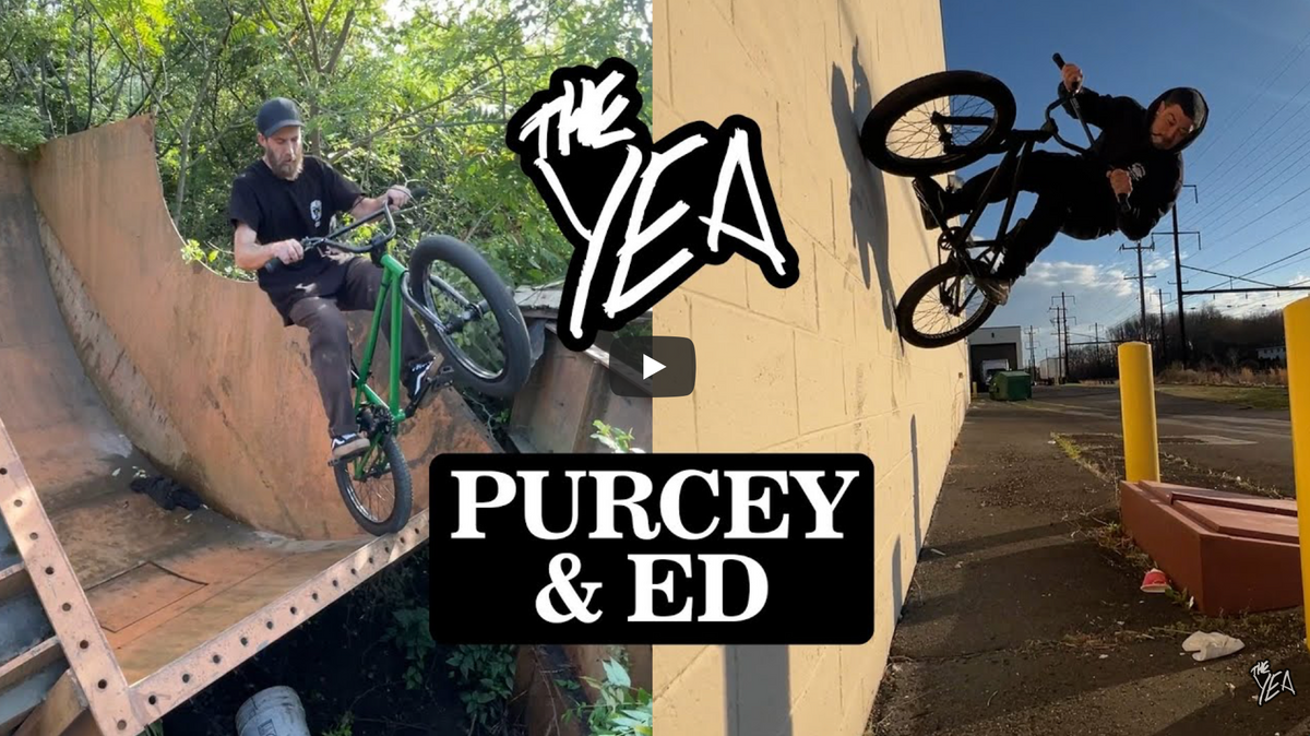 Purcey and Ed split section