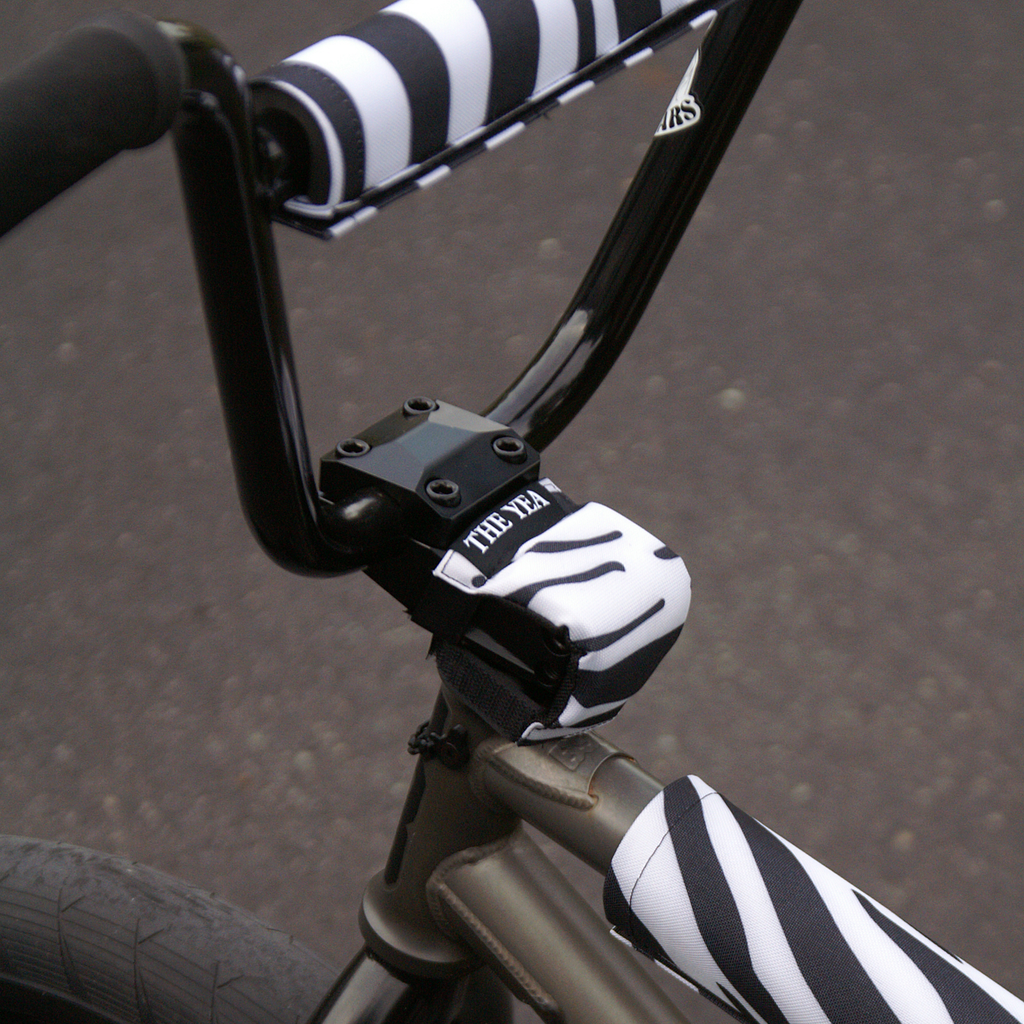 Zebra STEMBUDDY™